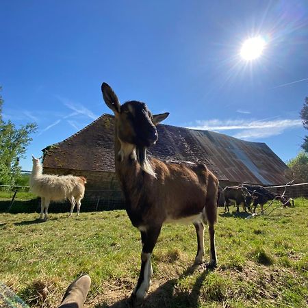 Saint-Cyr-Les-Champagnes The Llama Farm France מראה חיצוני תמונה