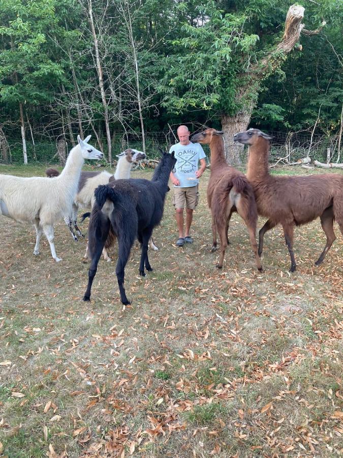 Saint-Cyr-Les-Champagnes The Llama Farm France מראה חיצוני תמונה