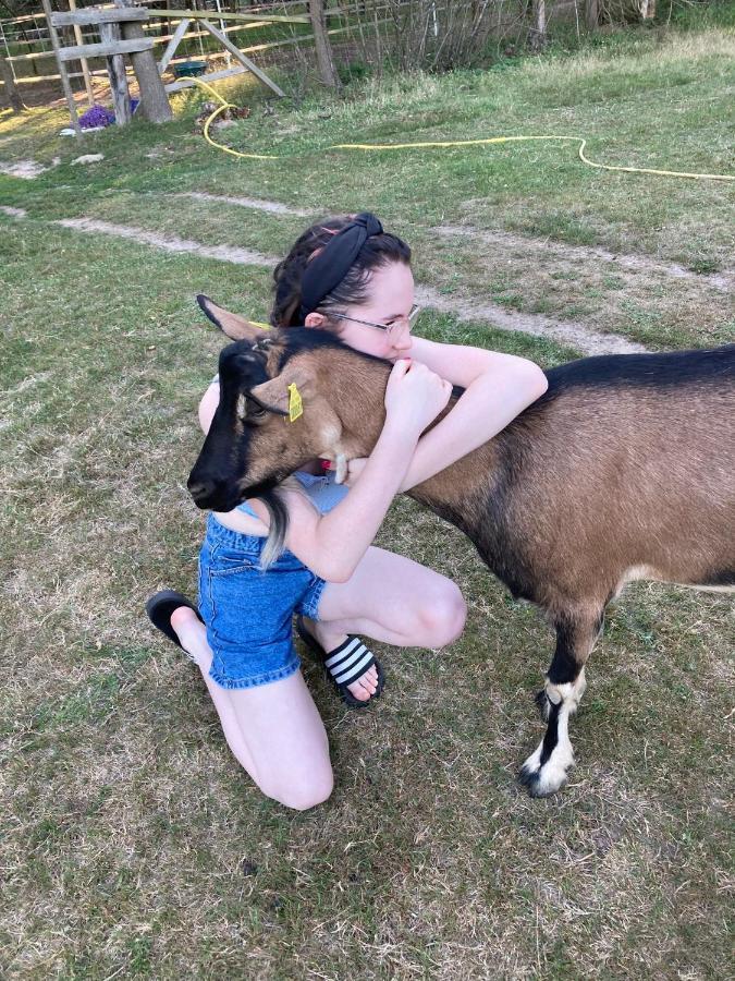 Saint-Cyr-Les-Champagnes The Llama Farm France מראה חיצוני תמונה