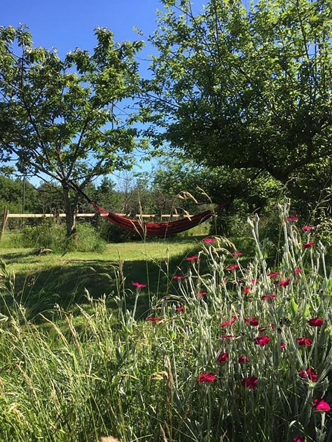Saint-Cyr-Les-Champagnes The Llama Farm France מראה חיצוני תמונה