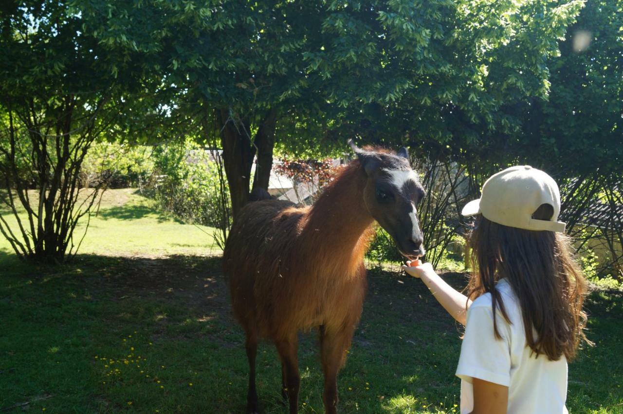 Saint-Cyr-Les-Champagnes The Llama Farm France מראה חיצוני תמונה