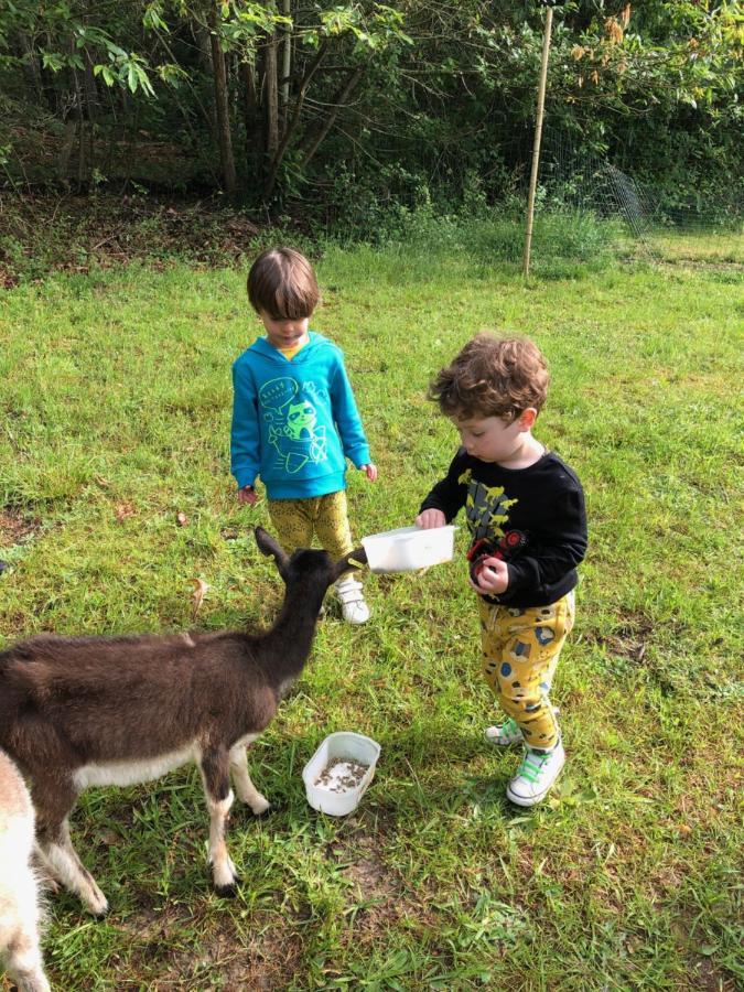 Saint-Cyr-Les-Champagnes The Llama Farm France מראה חיצוני תמונה