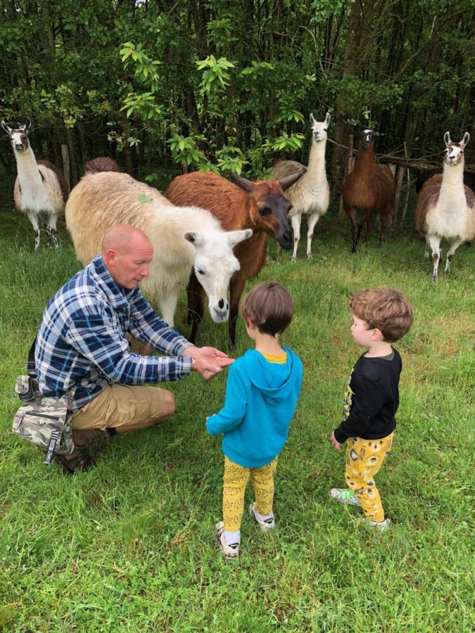 Saint-Cyr-Les-Champagnes The Llama Farm France מראה חיצוני תמונה