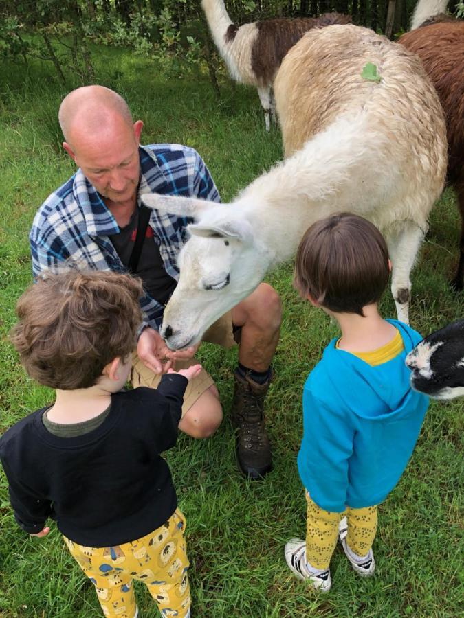 Saint-Cyr-Les-Champagnes The Llama Farm France מראה חיצוני תמונה